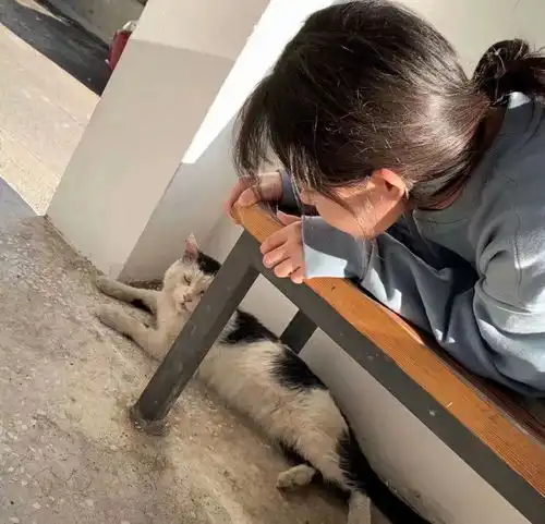 暗示自己慢慢变好的文案

