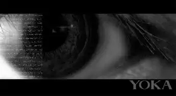 李宇春privacymv运用蒸汽波艺术12月1日首唱
