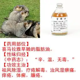 旱獭油有什么作用
