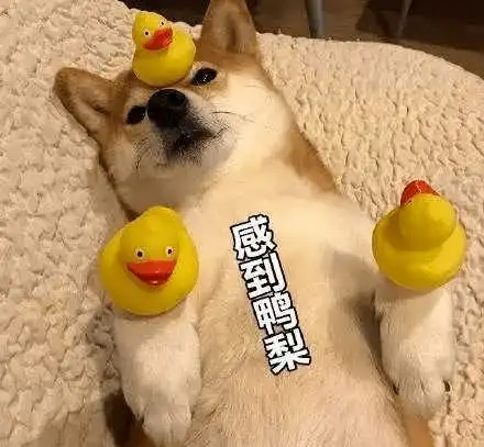 别催别催您的核酸标本检验流程在这里
