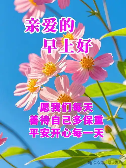 2024年8月2日星期五早上好,精选周五早安祝福语图片带字问候语
