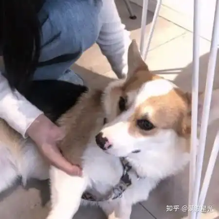 想问大家是不是情头
