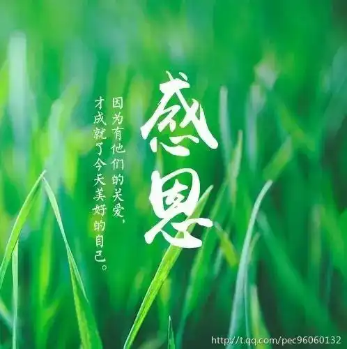 微信早安励志心语经典语录
