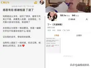道徒丁一宣布退网散打哥现身开导
