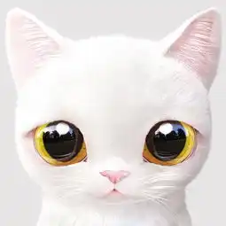 暖暖
