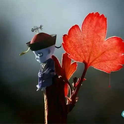 创造等级
