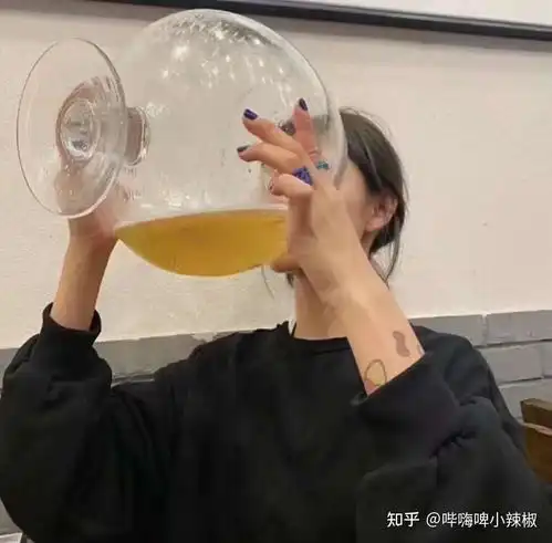 王老吉哔嗨啤是什么
