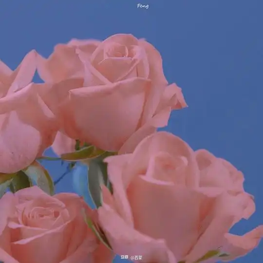 西蒙的相册微信背景头像
