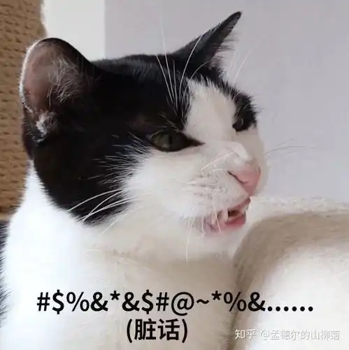 红颜知己是暧昧吗
