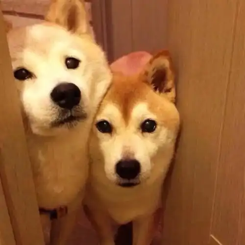 日常发圈高质量文案短句
