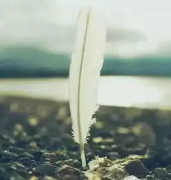 古筝演绎千古绝唱
