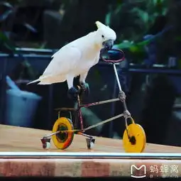 云南行
