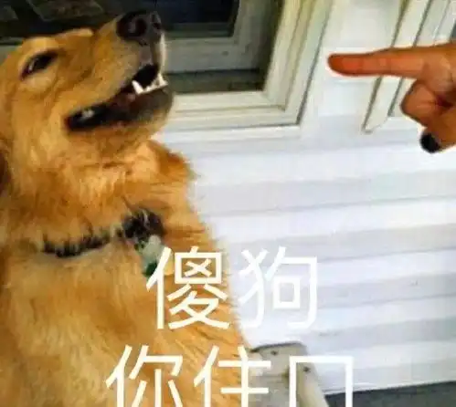 哥们,您这分明是在摆谱啊
