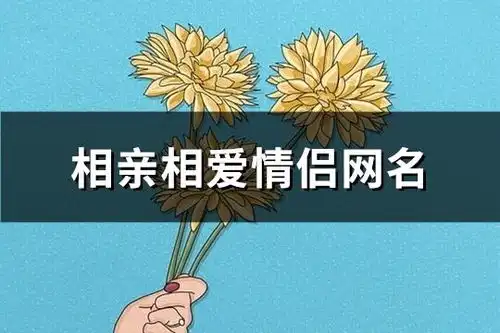 相亲相爱情侣网名精选205个
