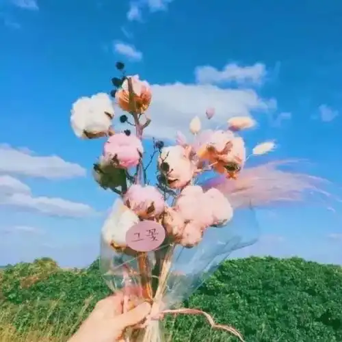 朋友圈背景图,熬过这段日子算不算解脱
