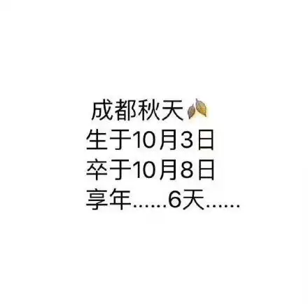 低调大佬的世界我不太懂
