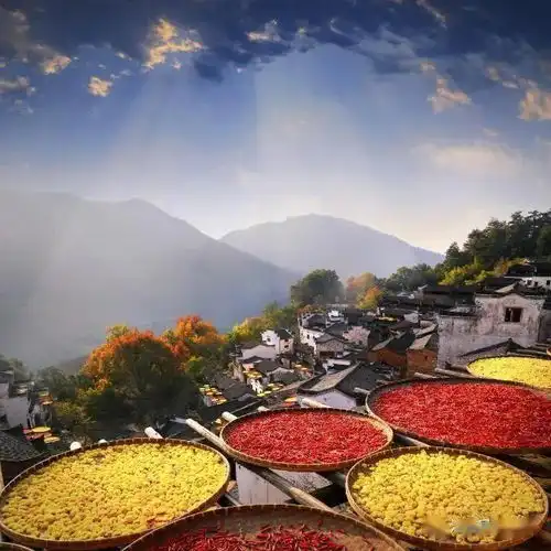 七夕出游指南,超适合情侣游玩的省内旅游景点
