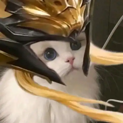 王者荣耀猫猫头像图
