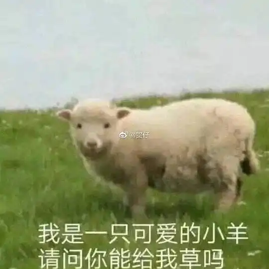好运泡泡澡的相册沙雕表情包头像
