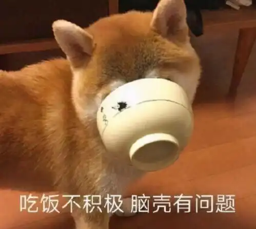 家里养狗有多欢乐简直是每天的快乐源泉啊,哈哈
