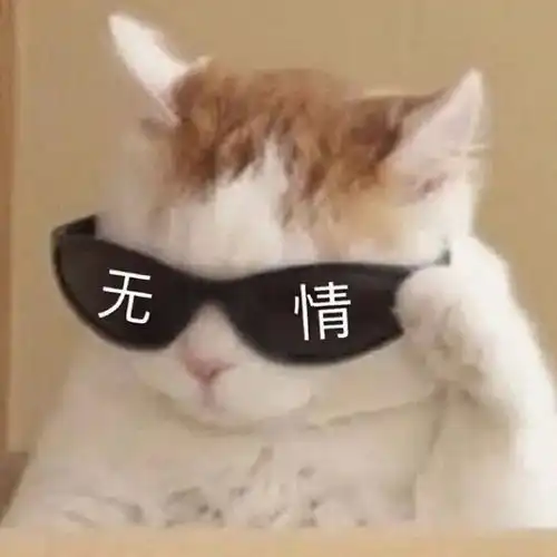 你在社交app里动过真感情吗
