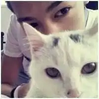 求抱着猫的情侣头像越多越好
