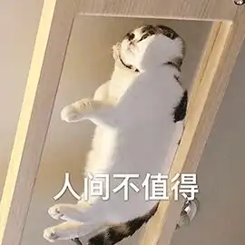 怂人攻略丨实力怂出一片天人间喜剧
