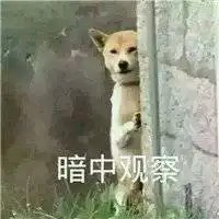 微信头像单身狗男生头像微信头像图片大全
