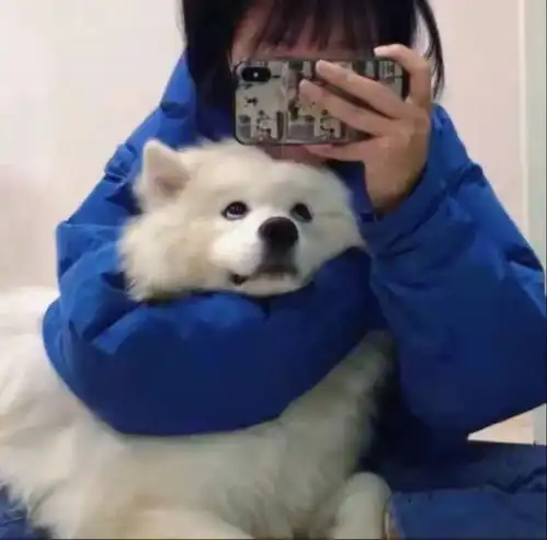 优质情侣头像,有你喜欢的吗
