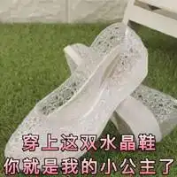 穿上这双水晶鞋表情包微信头像图片大全
