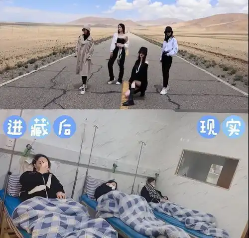 4位美女进西藏旅游,开心拍照留念后,结局却让人意想不到
