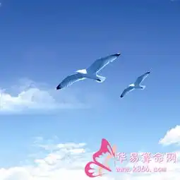 射手座的爱情百态
