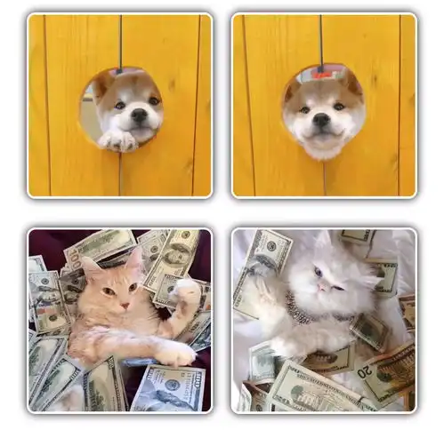 猫咪情侣头像可爱,动物情侣头像,狗狗情侣头像搞怪,狗狗情头,柴犬情头,柴犬可爱头像情侣,猫咪情侣头像可爱,猫猫的情侣头像,猫猫情侣头像无水印,猫咪情侣头像无水印
