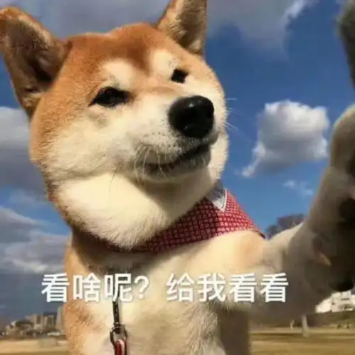 对另一半最有耐心的宝藏星座男
