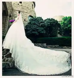 十二星座最适合什么样的婚宴服装搭配请出示12张图片
