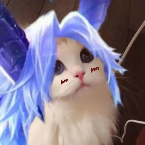 王者荣耀猫头第39期瑶辅助猫咪头像,辅助大件不是更好吗
