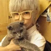求一对情侣头像要有猫和狗的
