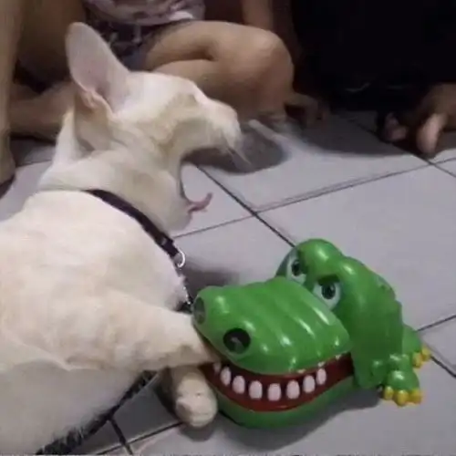 极限牛人精彩瞬间合集
