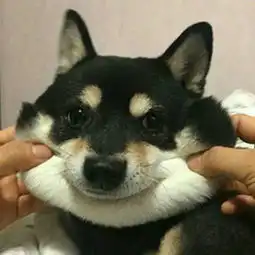 能不能把图一调成和图二一样的颜色

