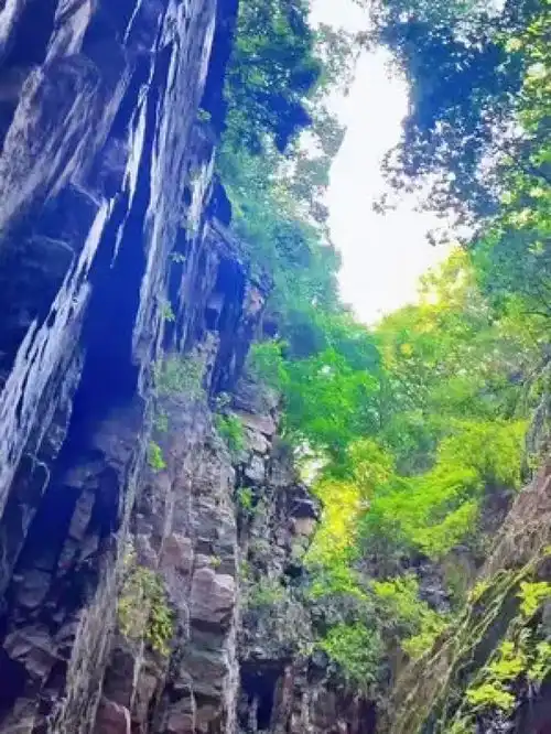 遮天蔽日大裂谷大自然的鬼斧神工大山里的原生态悬崖峭壁

