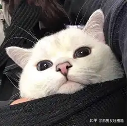 为什么很多男生不爱发朋友圈
