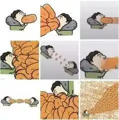 报名开始啦
