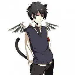 猫耳少年
