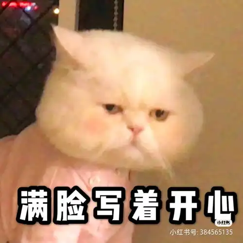 防弹少年团新真人秀节目
