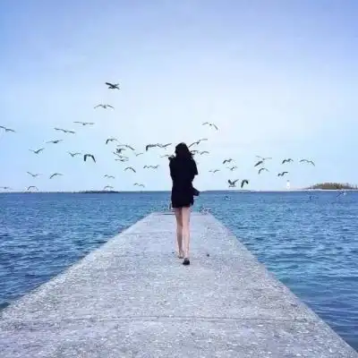 2023体验生活唯美图片
