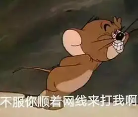 见到外星人,你说的第一句话会是啥
