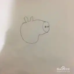 抖音小猪佩奇怎么画
