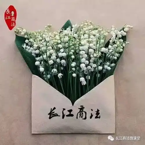长江商法原创视频核心竞争优势差异化
