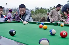 普陀新闻网