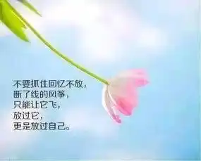 15句最走心的精辟短句子句句穿心专情的句子唯美短句
